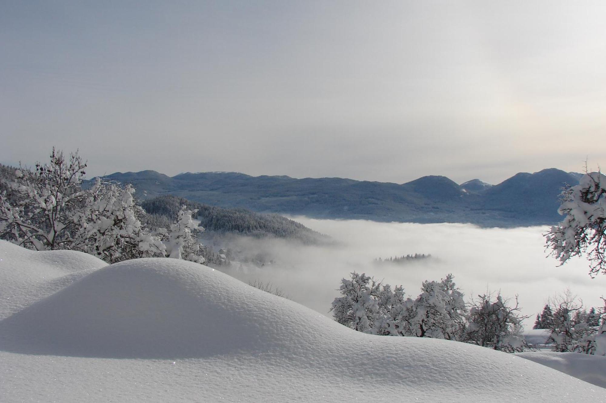 Podjelje Βίλα Εξωτερικό φωτογραφία